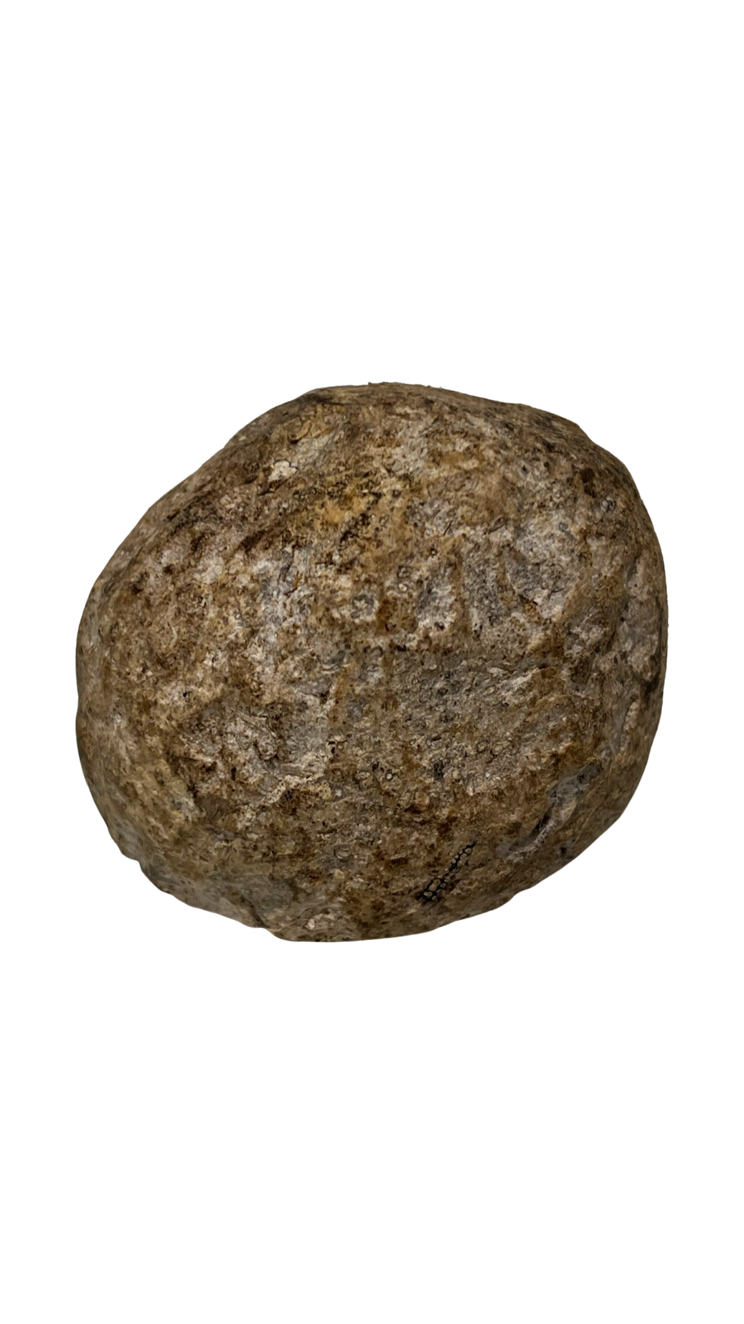 Celtic Ambergris Tincture 5%- 2017