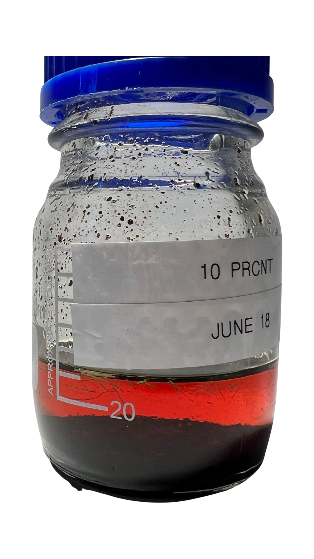 Mazeration von Moschusrotwild – 10 % (sibirisch)