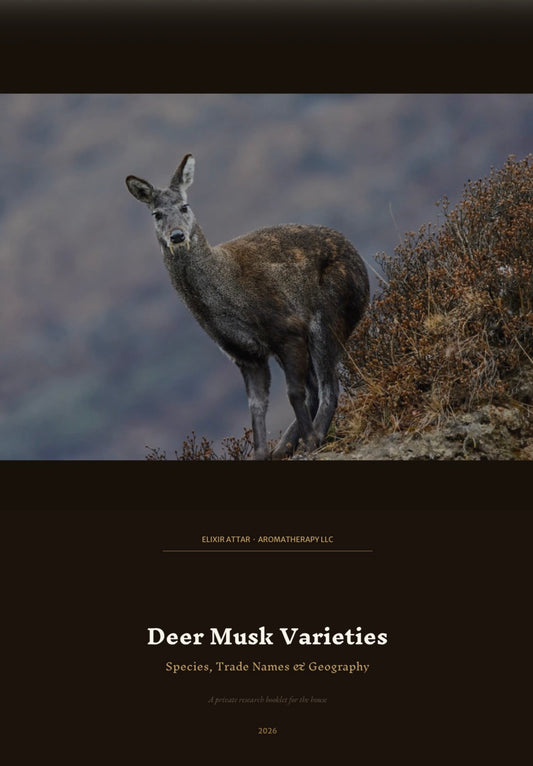 Deer Musk Varieties