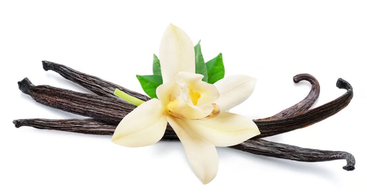 Vanilla tincture-40% Indonesia