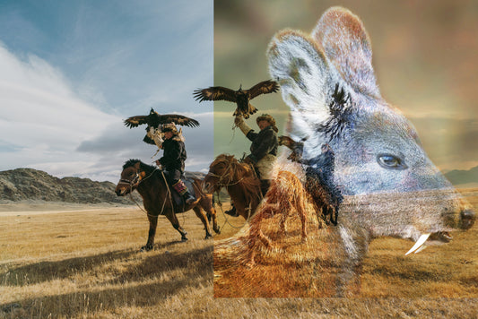 Musk Deer Maceration -20% Mongolian